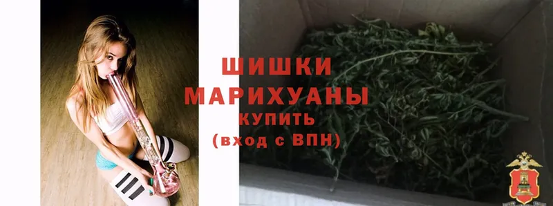 Марихуана индика  Болохово 